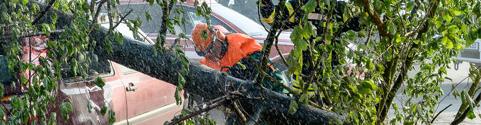 Die Freiwillige Feuerwehr zersägt einen umgefallenen Baum.